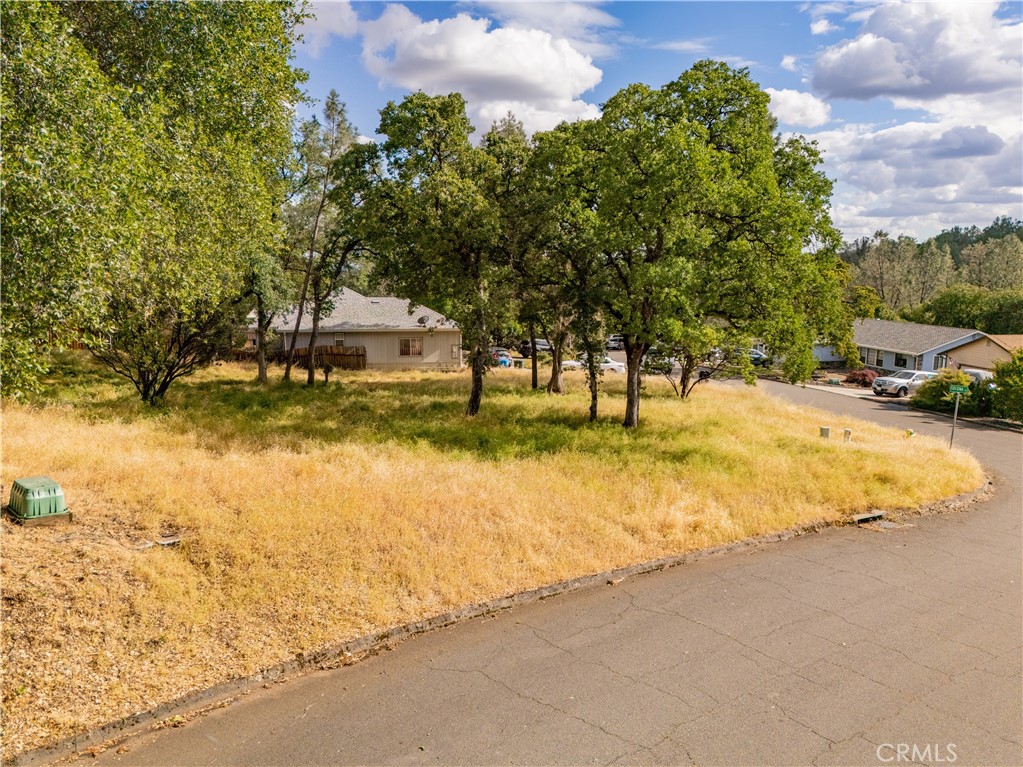 1 Celena Court Property Photo 15