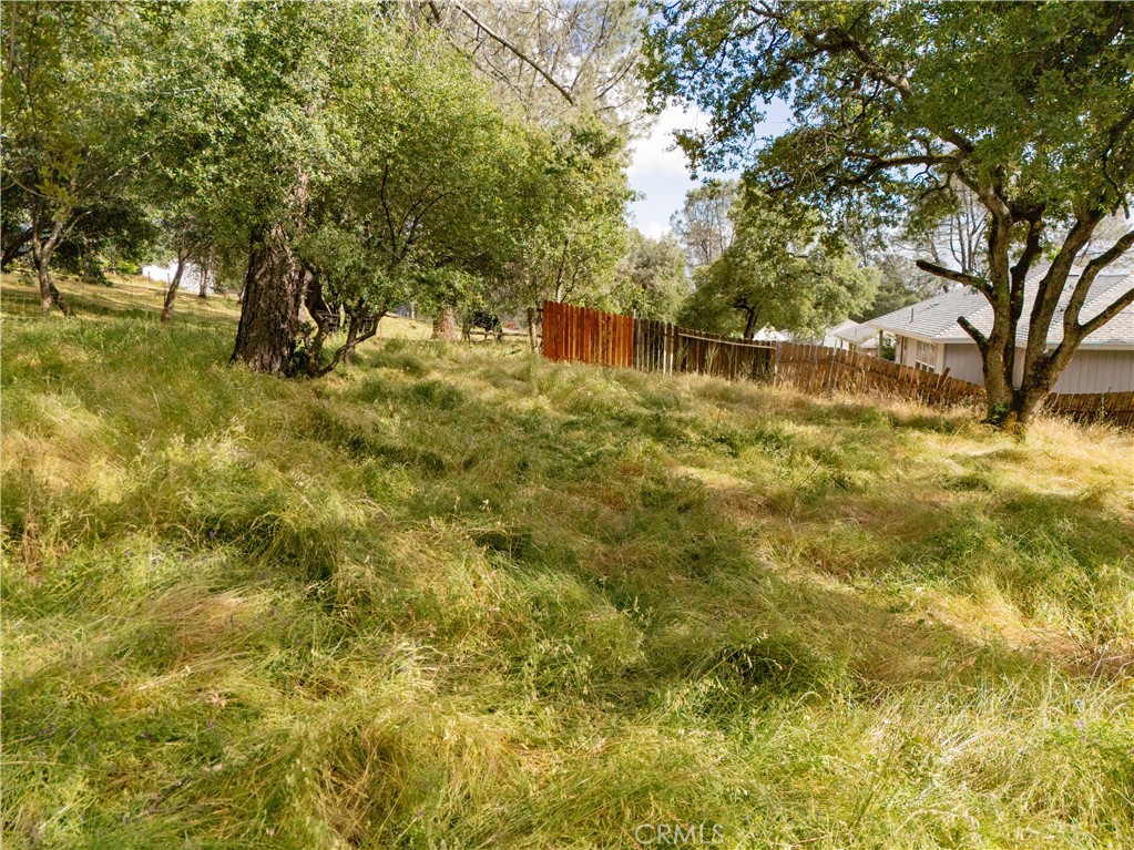 1 Celena Court Property Photo 16