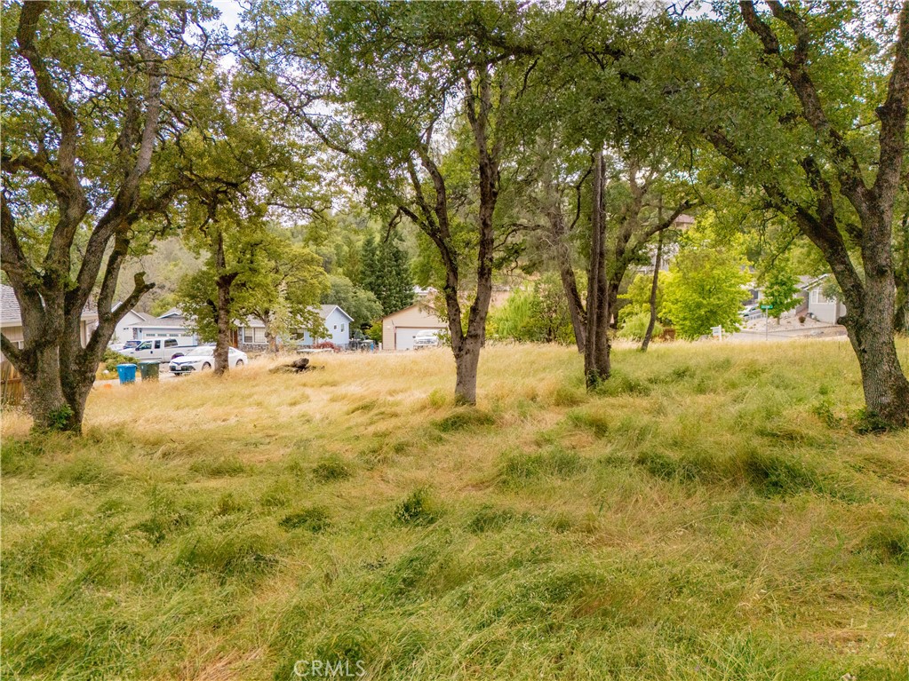 1 Celena Court Property Photo 17