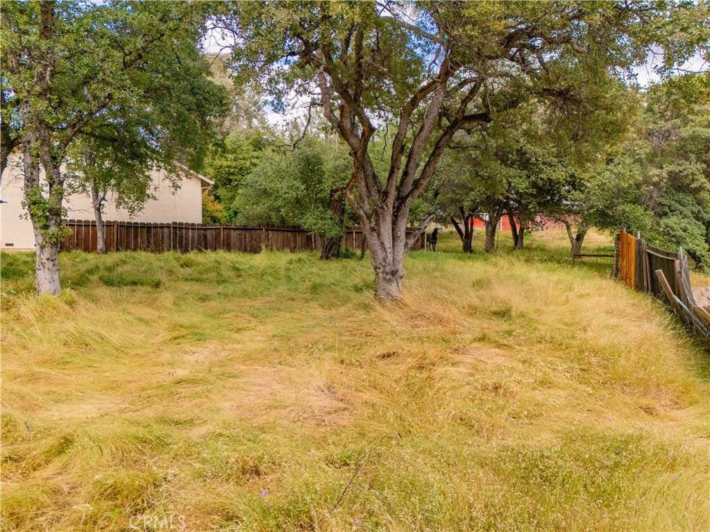 1 Celena Court Property Photo 18