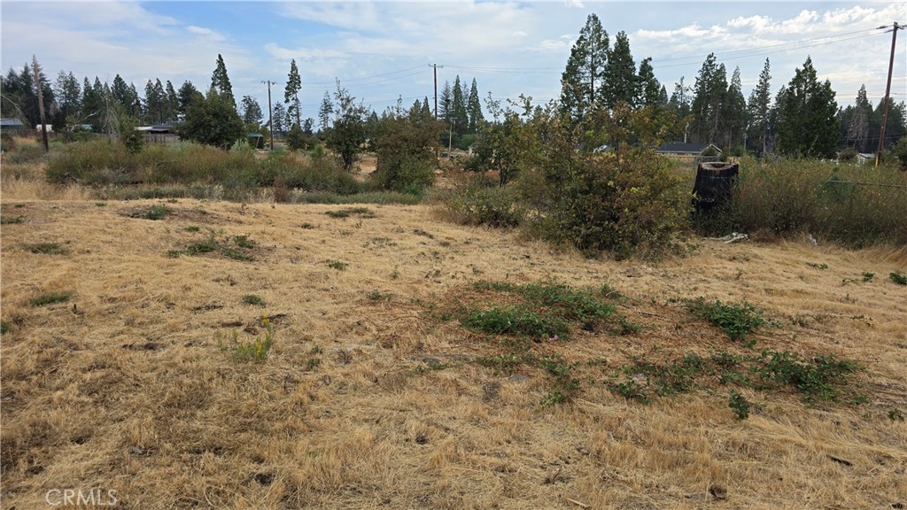 6459 Kingsdale Court Property Photo 7
