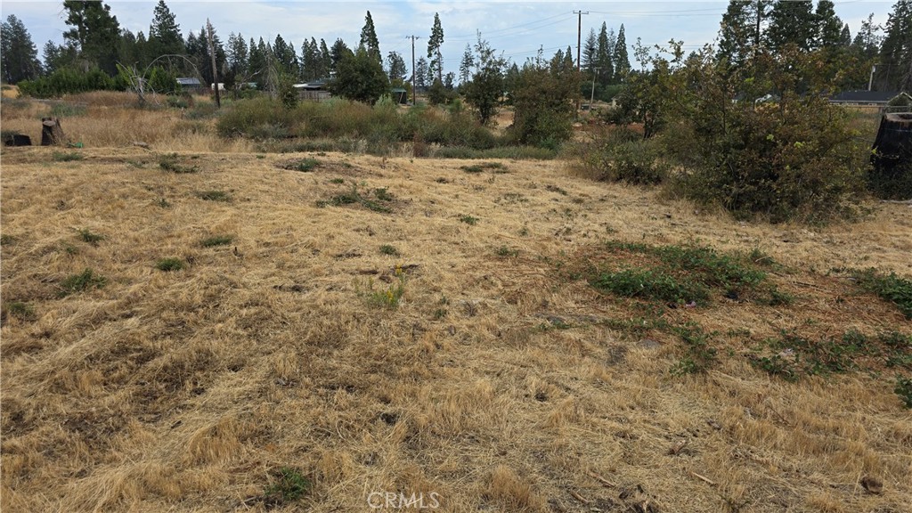 6459 Kingsdale Court Property Photo 9