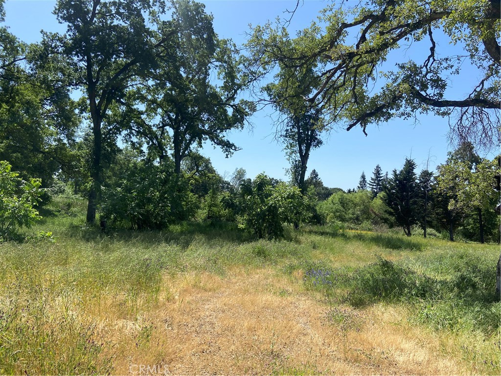 5100 Warnke Drive Property Photo 3