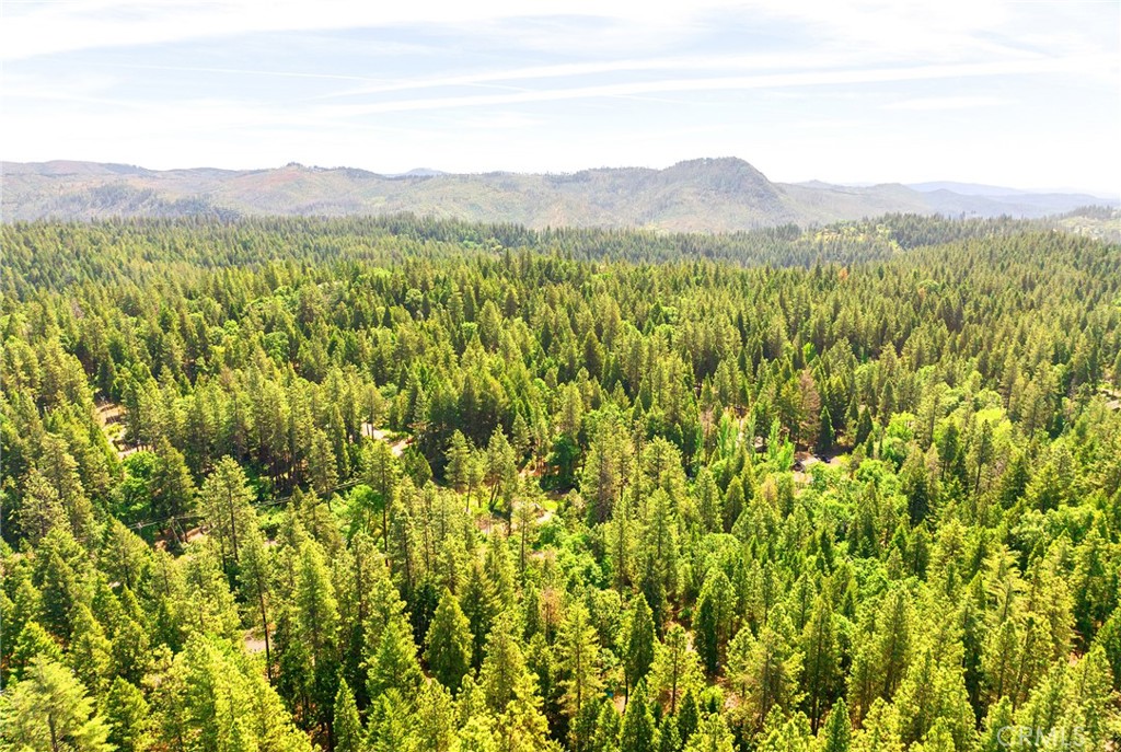 6515 Elmwood Drive Property Photo 52