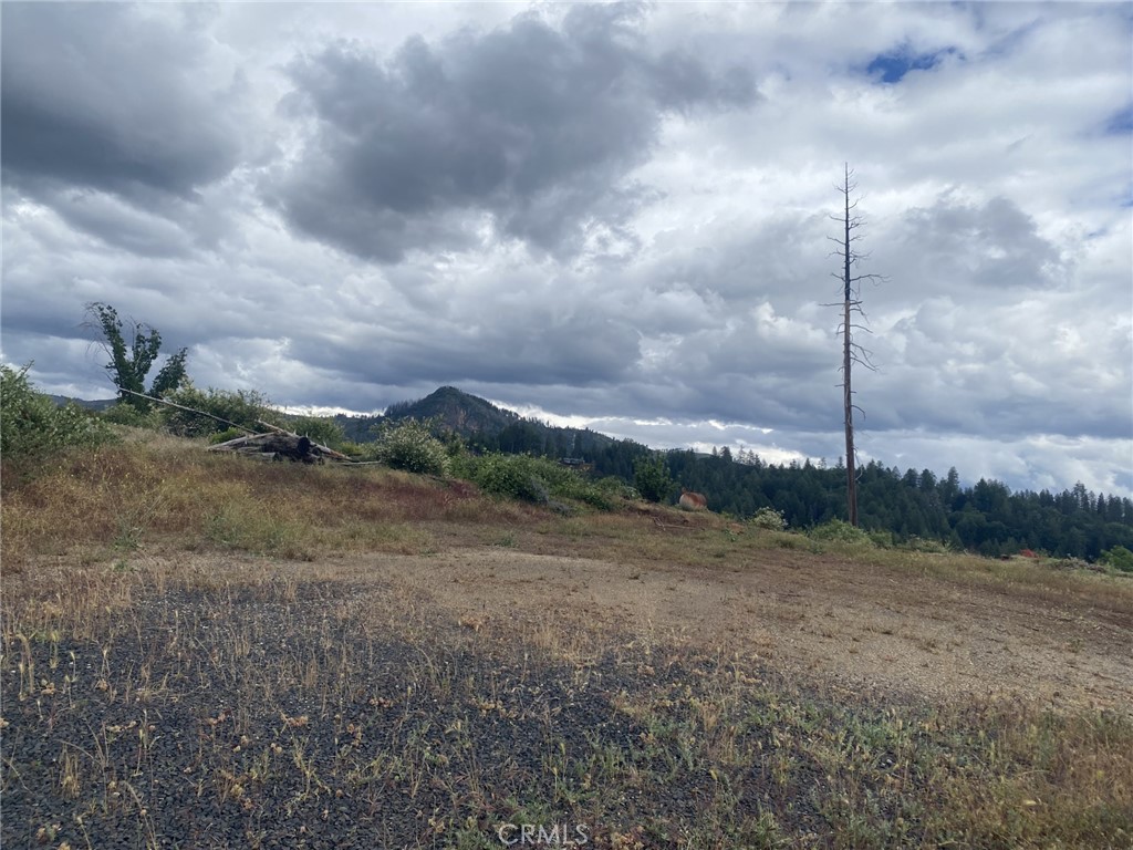 13770 Andover Property Photo 1