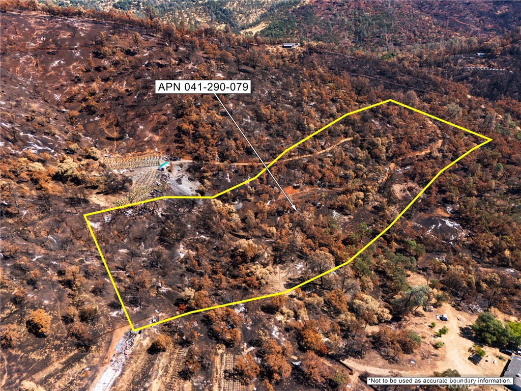 79 Oregon Gulch Road Property Photo 3