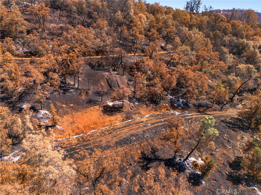 79 Oregon Gulch Road Property Photo 10
