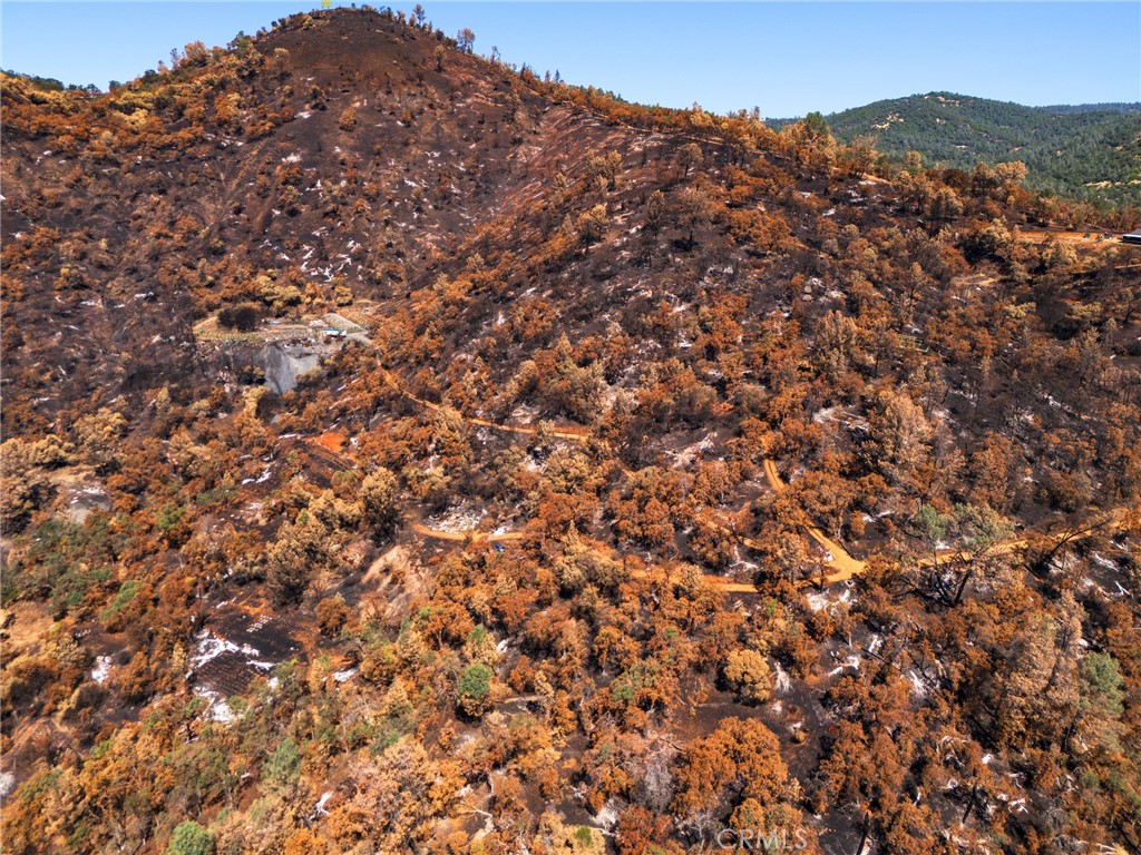 79 Oregon Gulch Road Property Photo 12