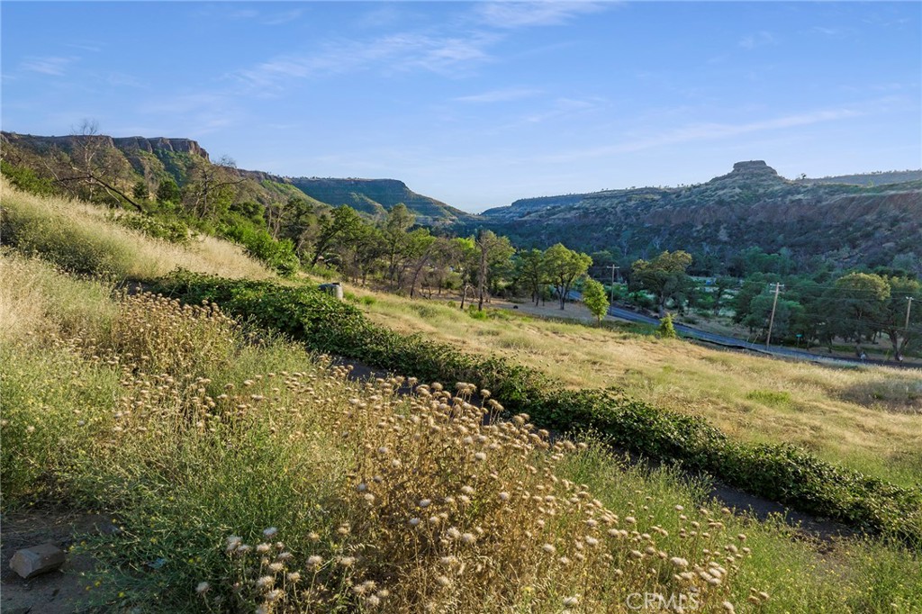 2470 Honey Run Road Property Photo 29