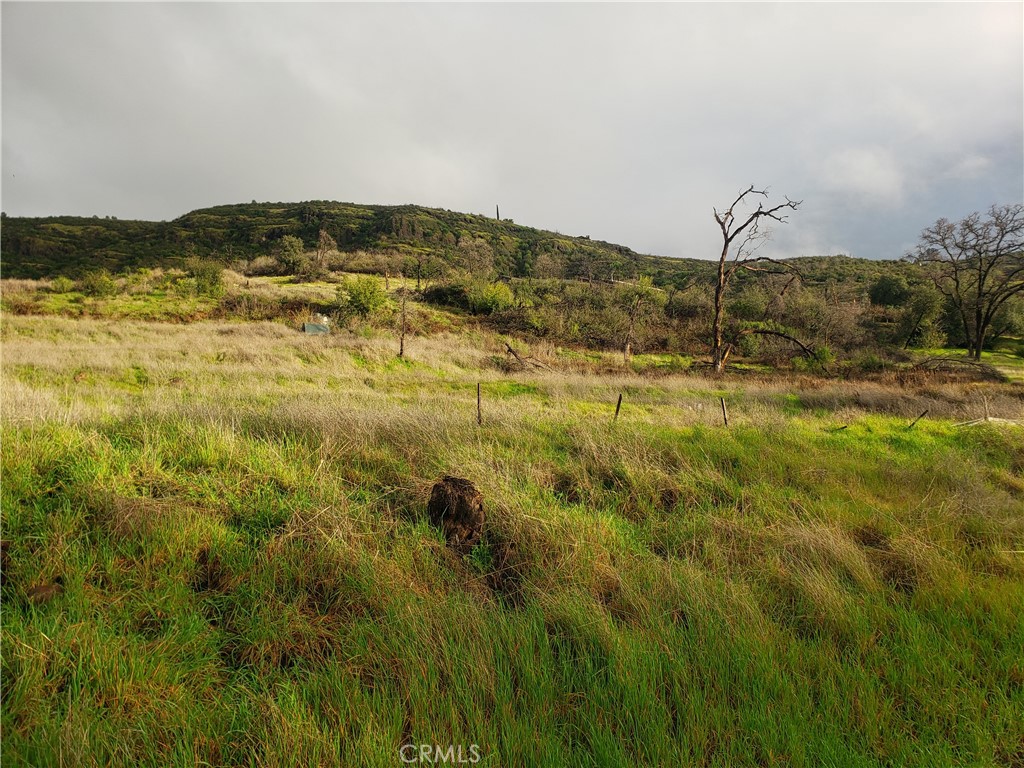 2470 Honey Run Road Property Photo 42