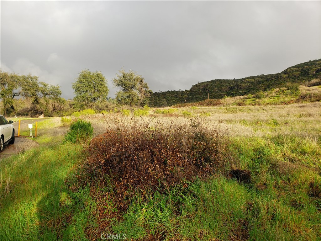 2470 Honey Run Road Property Photo 43