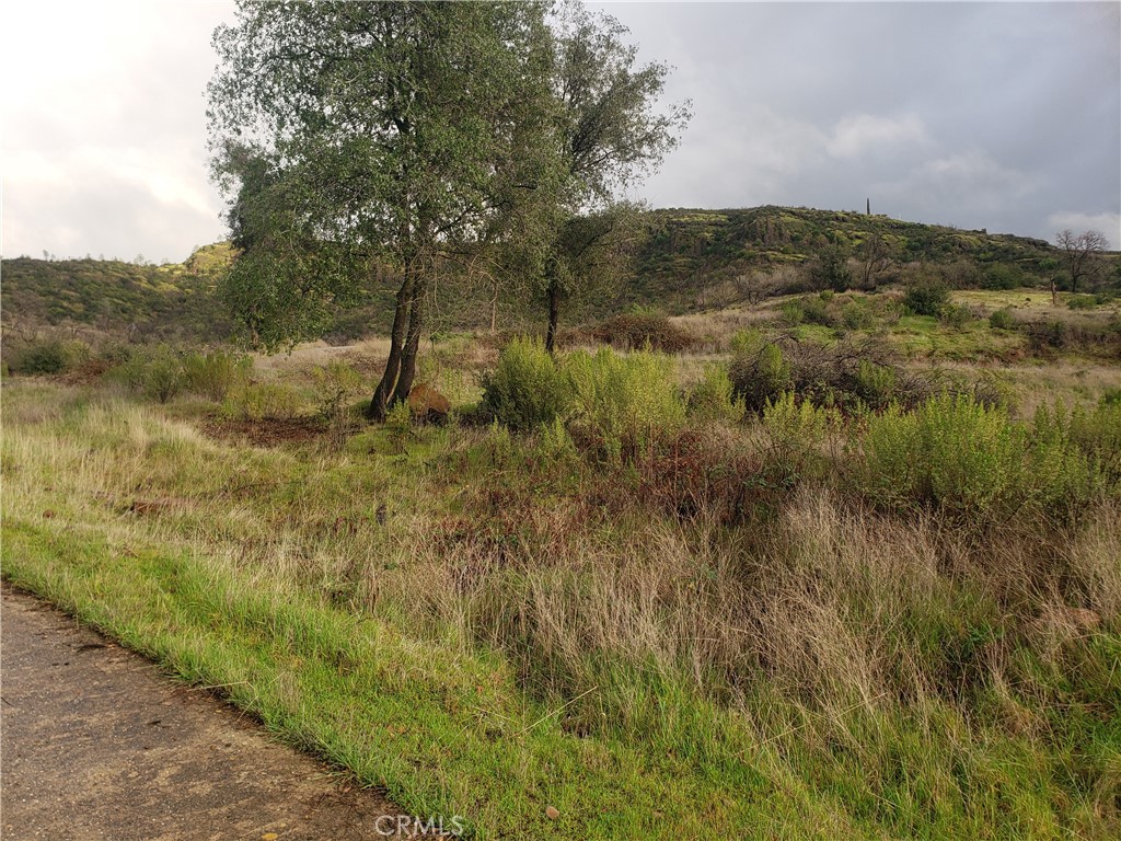 2470 Honey Run Road Property Photo 47