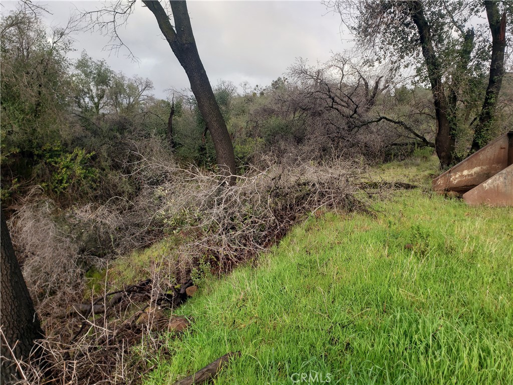 2470 Honey Run Road Property Photo 50