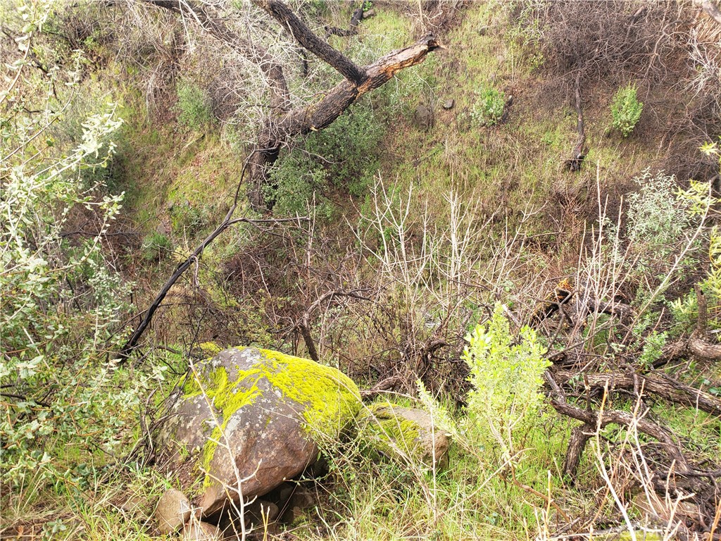 2470 Honey Run Road Property Photo 51