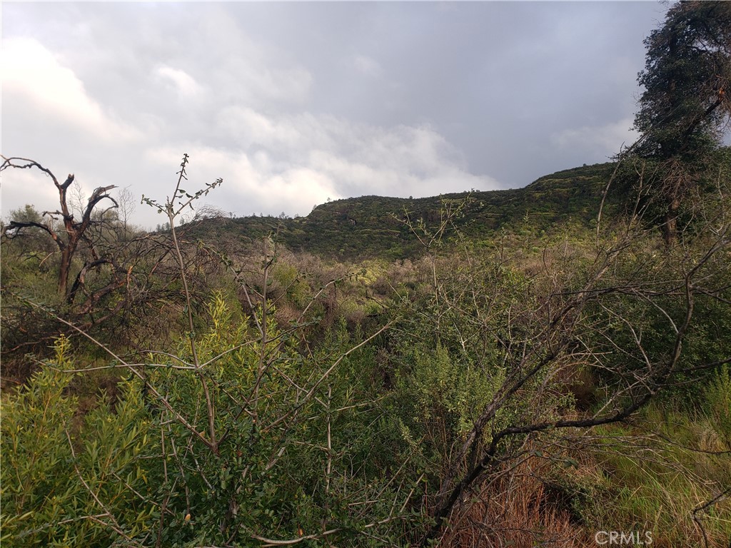 2470 Honey Run Road Property Photo 52