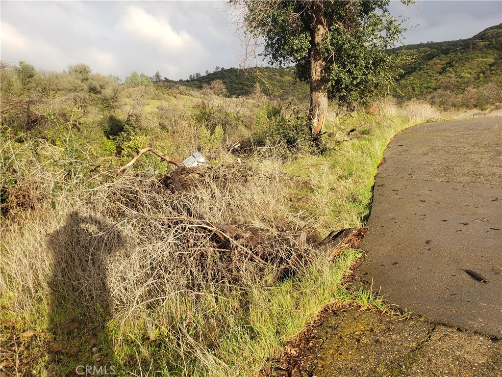 2470 Honey Run Road Property Photo 57