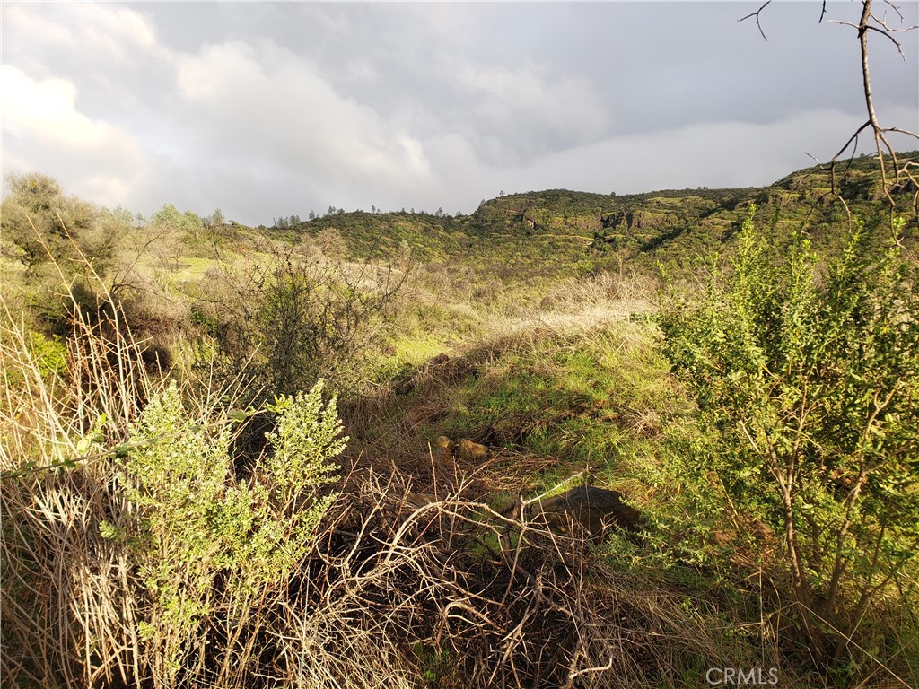 2470 Honey Run Road Property Photo 58