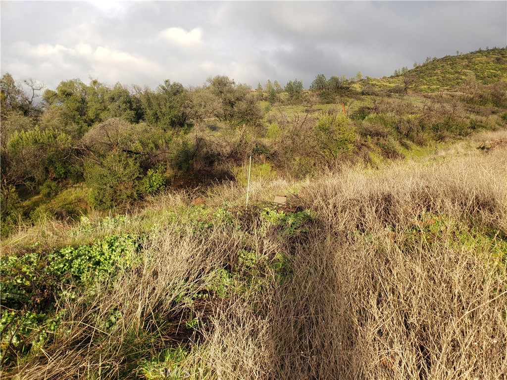 2470 Honey Run Road Property Photo 61