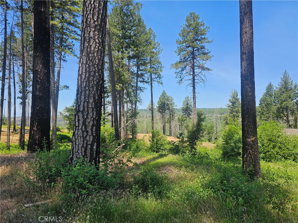 6649 Lincoln Drive Property Photo 1