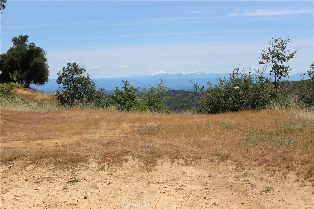 10255 Carrousel Drive Property Photo 2