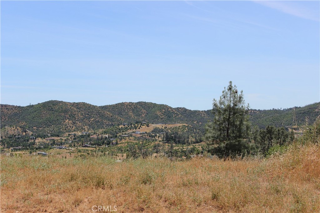 10255 Carrousel Drive Property Photo 3