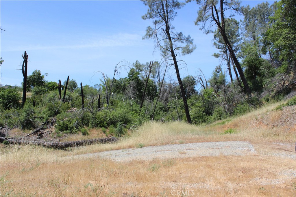 10255 Carrousel Drive Property Photo 4
