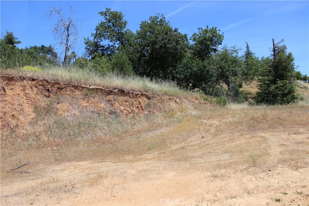 10255 Carrousel Drive Property Photo 6