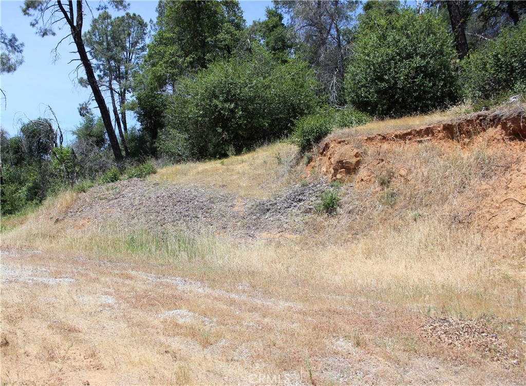 10255 Carrousel Drive Property Photo 8