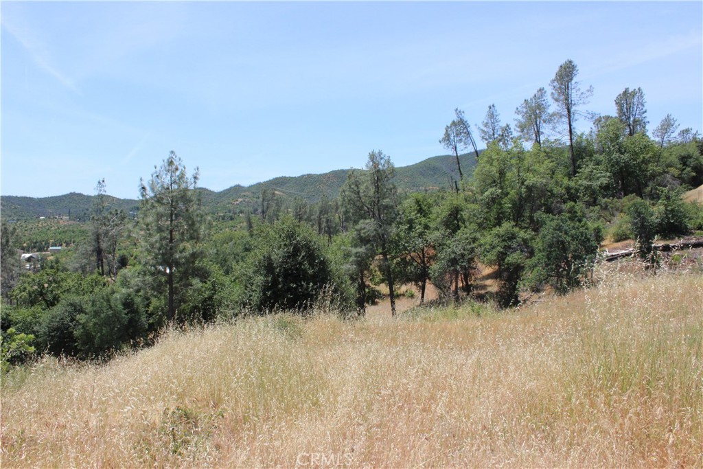 10255 Carrousel Drive Property Photo 9