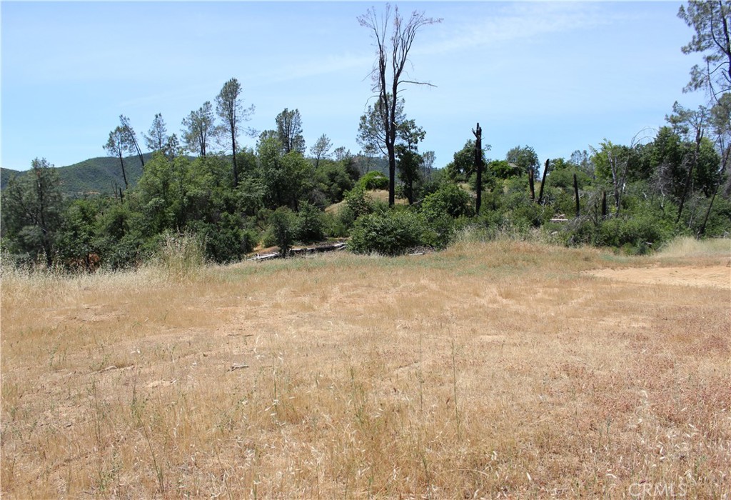 10255 Carrousel Drive Property Photo 10