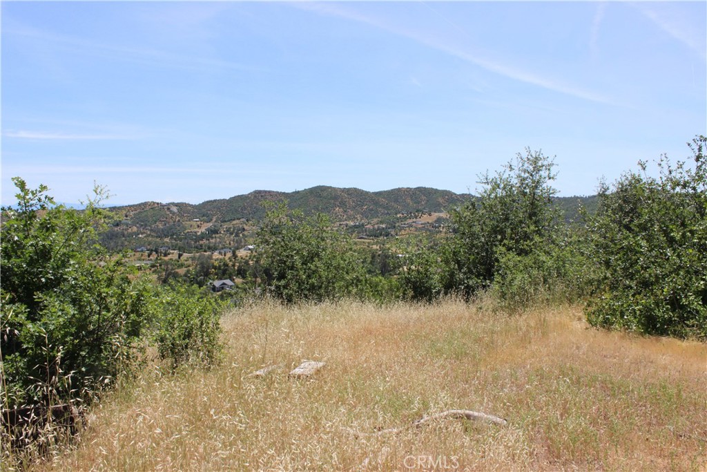 10255 Carrousel Drive Property Photo 13