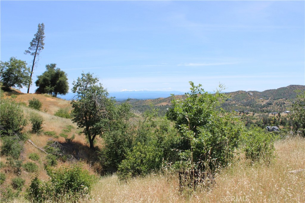 10255 Carrousel Drive Property Photo 14