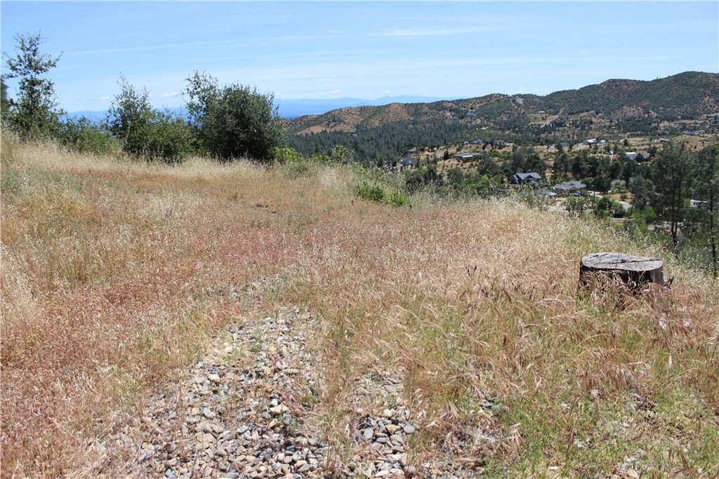 10255 Carrousel Drive Property Photo 16