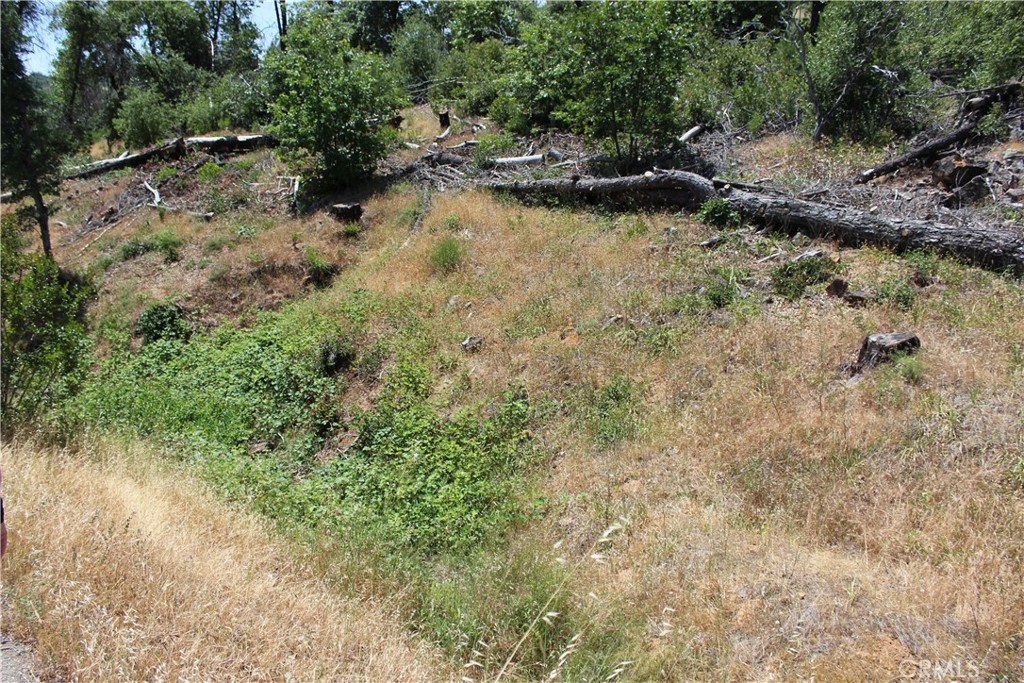 10255 Carrousel Drive Property Photo 23