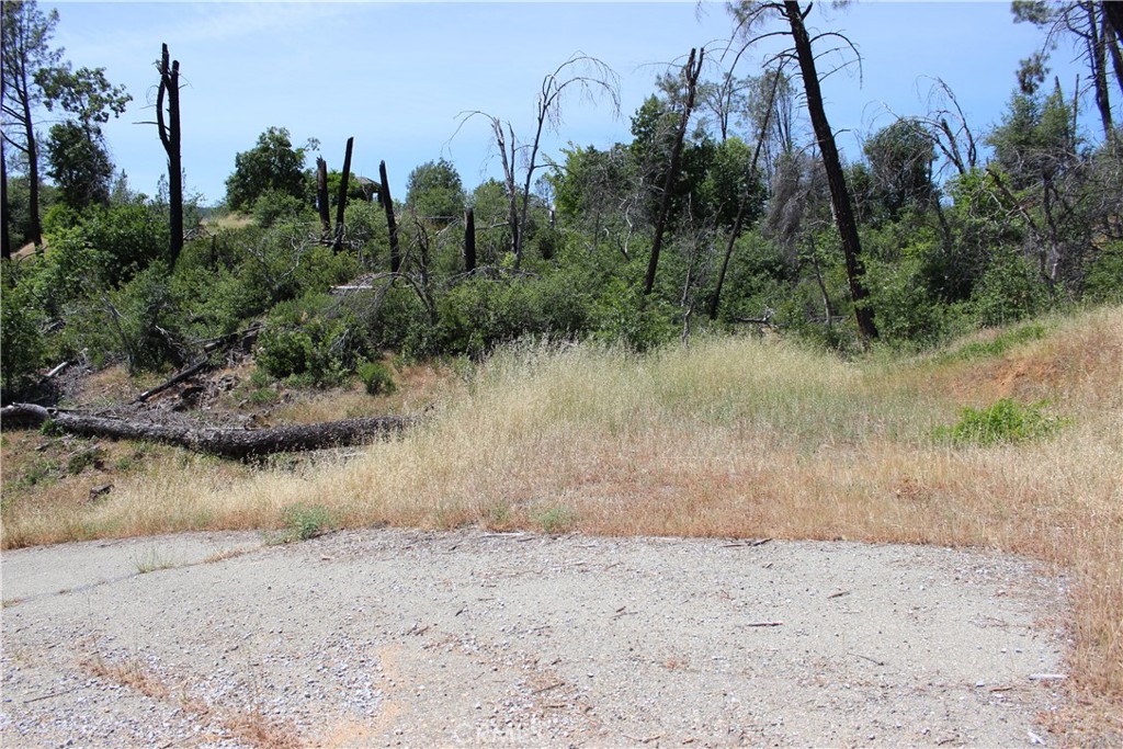 10255 Carrousel Drive Property Photo 25