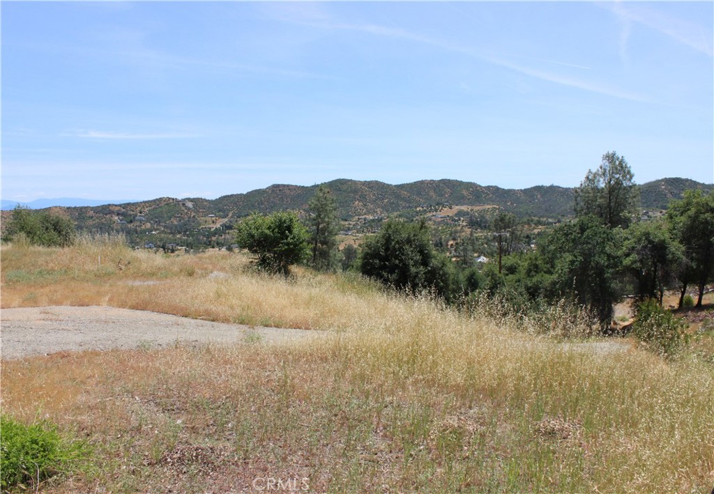 10255 Carrousel Drive Property Photo 27