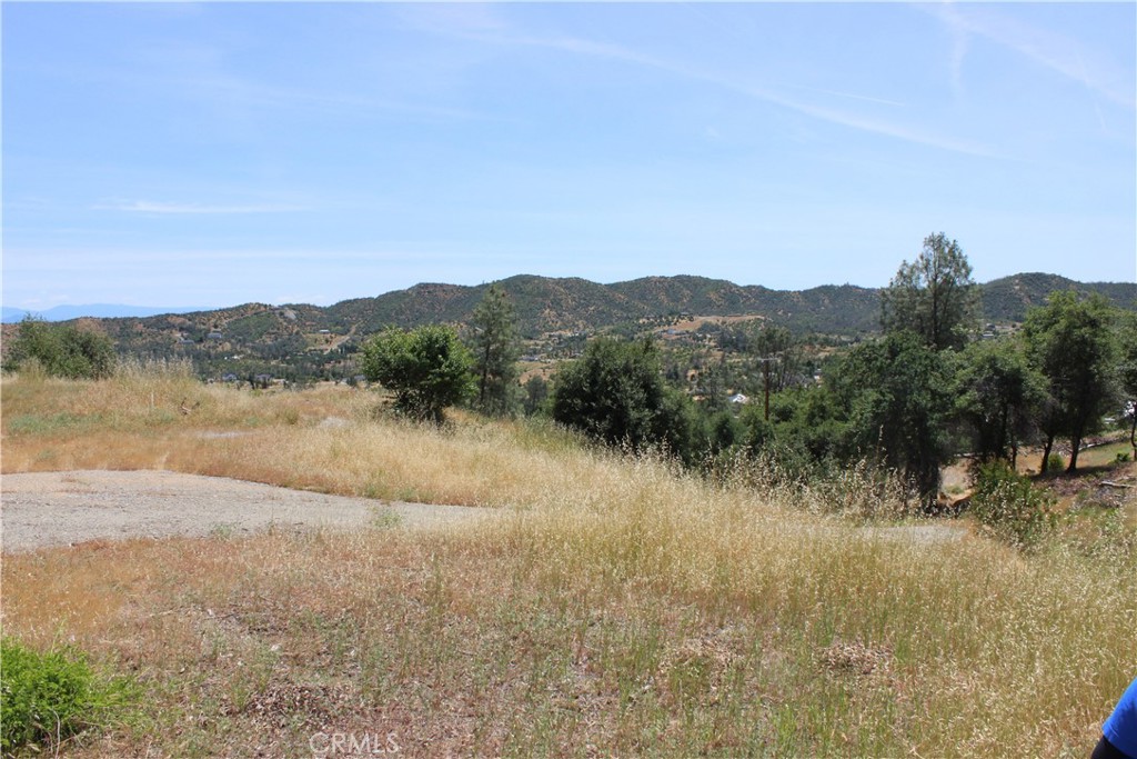 10255 Carrousel Drive Property Photo 28