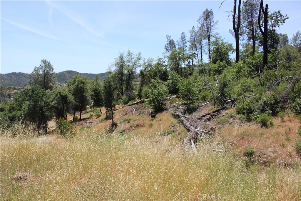 10255 Carrousel Drive Property Photo 29