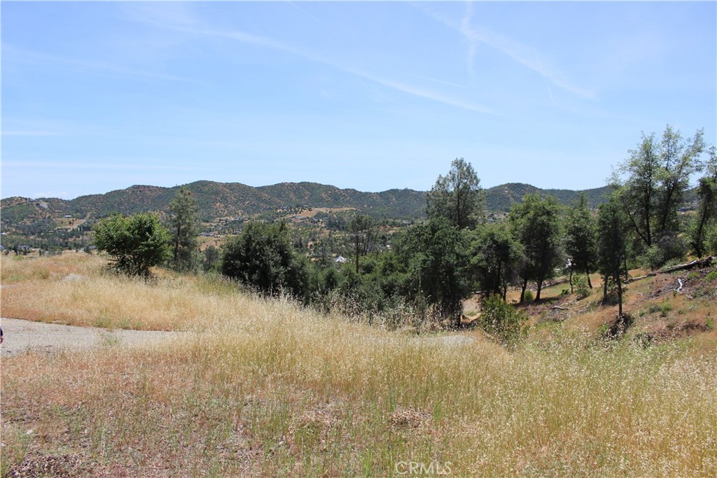 10255 Carrousel Drive Property Photo 30