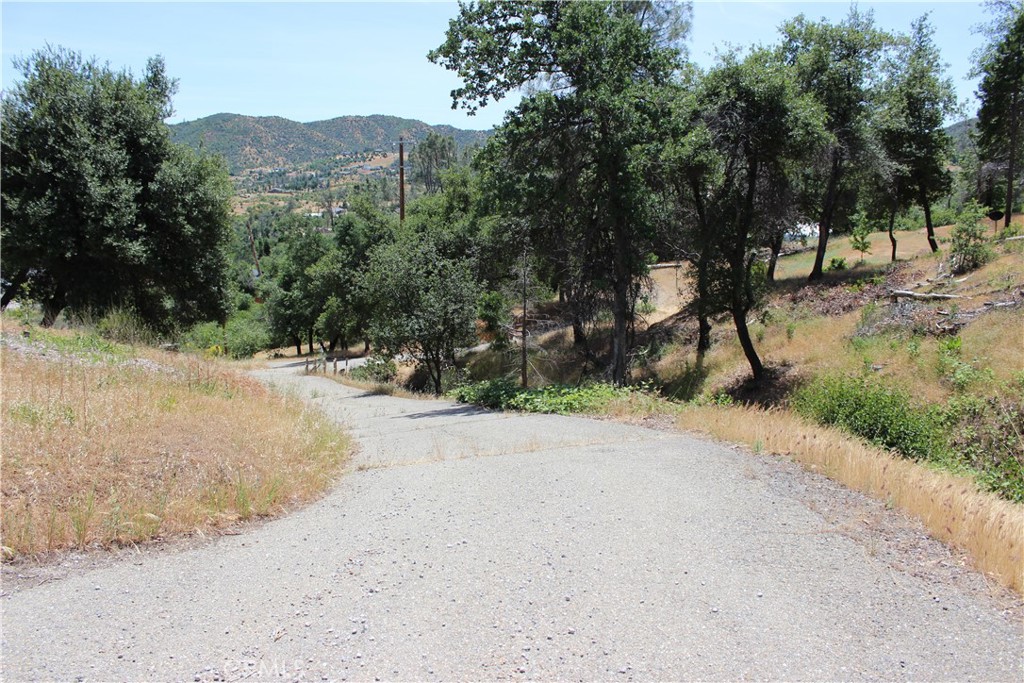 10255 Carrousel Drive Property Photo 31