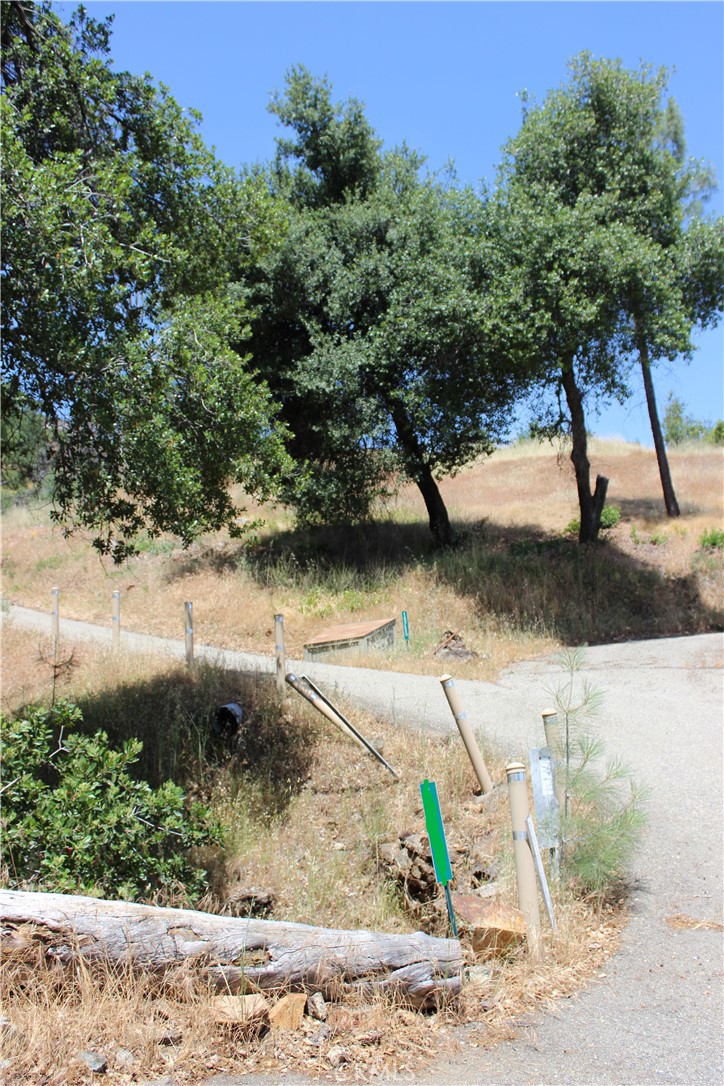 10255 Carrousel Drive Property Photo 32