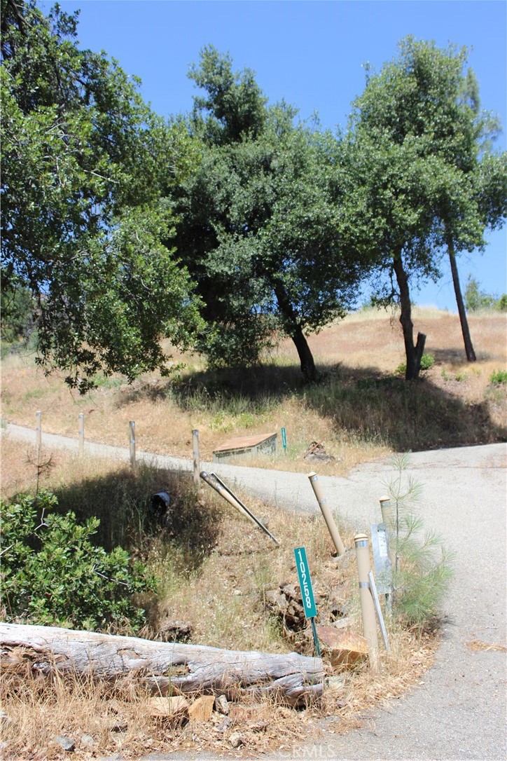 10255 Carrousel Drive Property Photo 33
