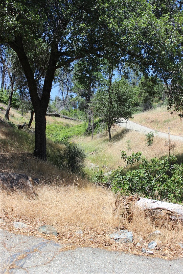 10255 Carrousel Drive Property Photo 34