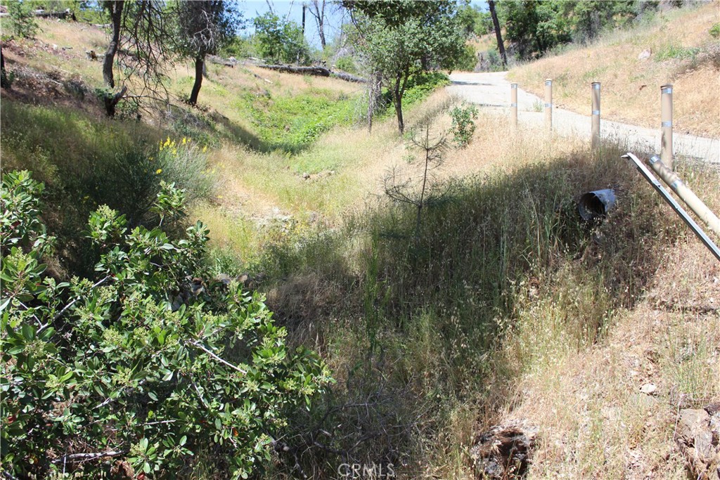 10255 Carrousel Drive Property Photo 35