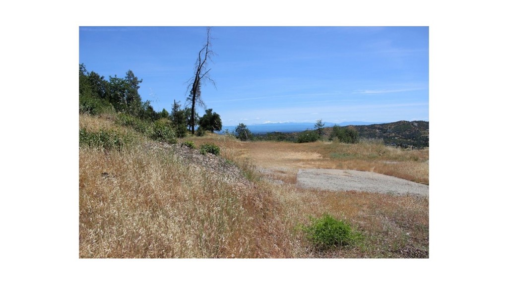 10255 Carrousel Drive Property Photo 41