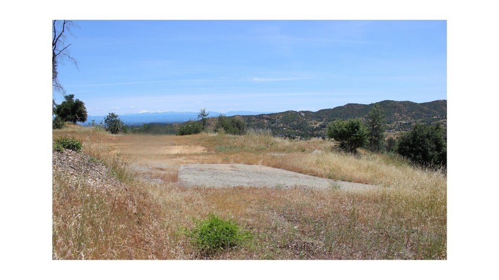 10255 Carrousel Drive Property Photo 42