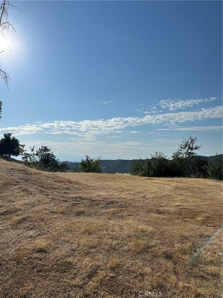 10255 Carrousel Drive Property Photo 45