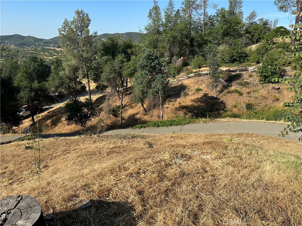 10255 Carrousel Drive Property Photo 48