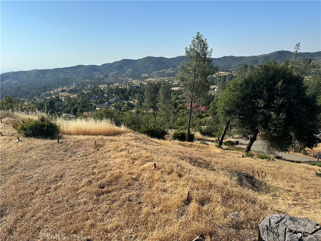 10255 Carrousel Drive Property Photo 49