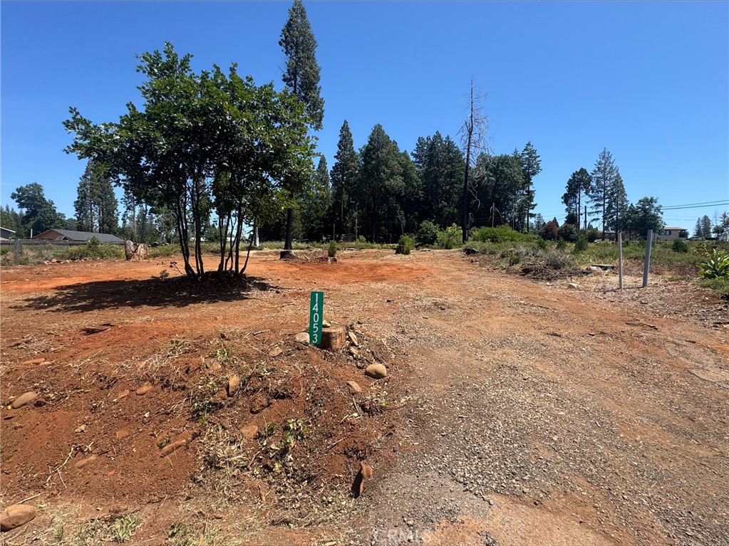 14053 Pineland Circle Property Photo 2